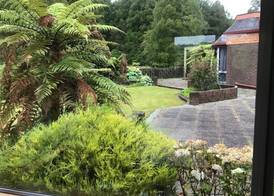 Woodland Glen Lodge B&B 3