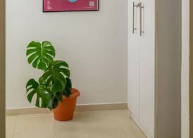 Crops Suites 3