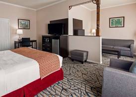 Best Western Spring Hill Inn & Suites 5