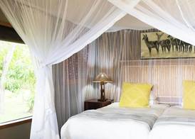 Zambezi Dusk River Facing-all inclusive-Luxury Accommodation 4