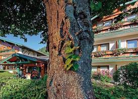 Steinbach-Hotel - inklusive Chiemgaukarte 4