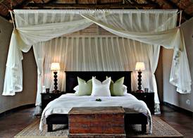 Hlosi Game Lodge - Amakhala Game Reserve 4