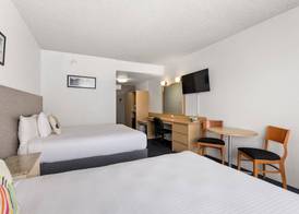 Zebra Motel 4