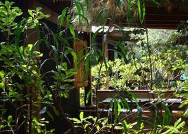 Torre del Porticciolo Camping Village Glamping 3