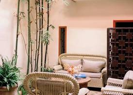 Le Singe Rose & SPA 2