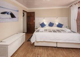 White Shark Guest House 3
