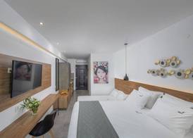 Dandelion Suites 3