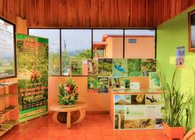 Hotel Cipreses 4