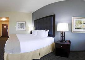Holiday Inn Express & Suites WAYCROSS by IHG 3