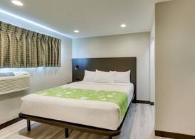 The Shamrock 3