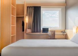 Ibis Chihuahua 3