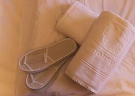 Style Hotel Grifone 4