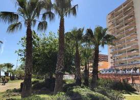 JSM Apartamentos 4
