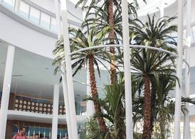 Universal's Cabana Bay Beach Resort 2