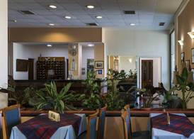 Delfini Hotel 3