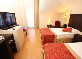 Viking Garden Hotel 3
