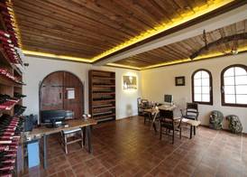 Vinifera Vineyards Hotel 4