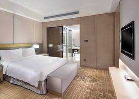 Holiday Inn Tianjin Wuqing 3