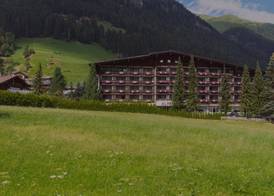 Hotel Alpenhof 4