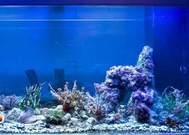 Stanze del Mare 3