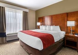 Comfort Suites Florence I-95 4