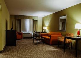 Holiday Inn Express & Suites WALLER - PRAIRIE VIEW by IHG 3