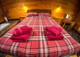 New Forest Lodges 3