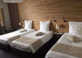 Hôtel L'Auberge Alsacienne 4