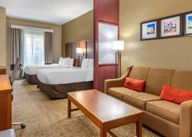 Comfort Suites Clayton - Garner 5