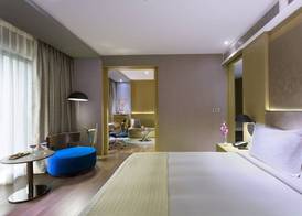 Holiday Inn NEW DELHI AEROCITY by IHG 2
