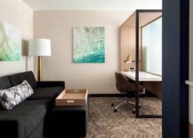 SpringHill Suites by Marriott Tampa Suncoast Parkway 5