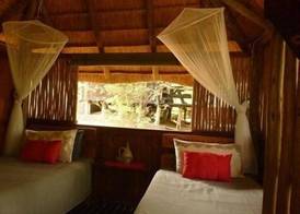 Offbeat Safaris 4
