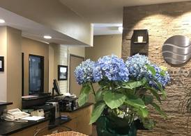Comfort Inn Ellsworth - Bar Harbor 4