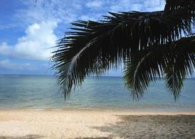 Paya Beach Spa & Dive Resort 5