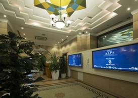 Hotel Alps 3