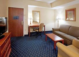 Holiday Inn Express & Suites ORANGEBURG by IHG 5