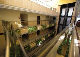 Queen Plaza Hotel 3