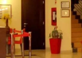 Hotel Mimosa 5