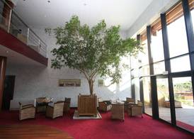 Ile du Gua Suites 5