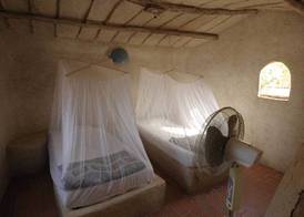 Ecolodge de Palmarin 3