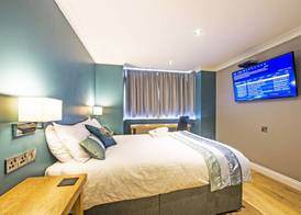 Dolphin Rooms 4
