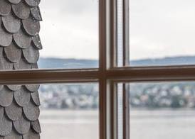Boutiquehotel Sonne Küsnacht - Zürich 5