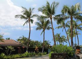 Castle Hali'i Kai at Waikoloa 2