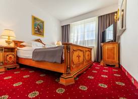 Hotel Imparatul Romanilor Hotel & SPA 5