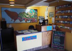 Tasman Bay Backpackers 2