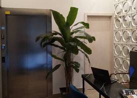 Pension Ama Bilbao 2