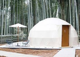 The Bamboo Forest 4
