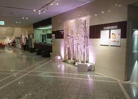 Kawagoe Prince Hotel 3