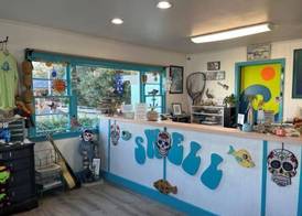 Swell Motel 2
