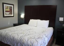 Cotulla Executive Inn 5